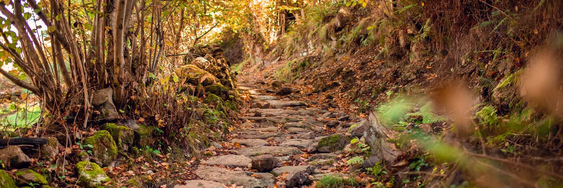 skyarc-amenities-nature-trail