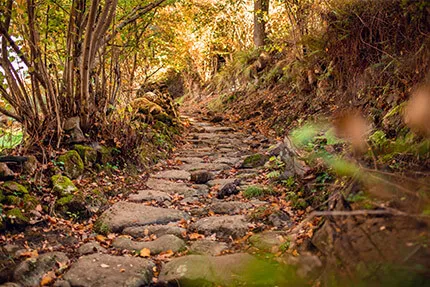 skyarc-amenities-nature-trail