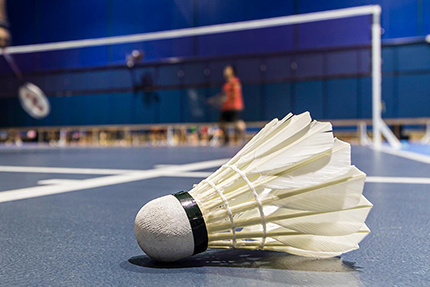 Badminton-Court